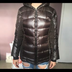 Chocolate Brown Geox Winter Jacket 🐻